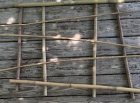 bamboo thing 1.jpeg