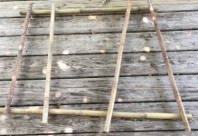bamboo thing 2.jpeg