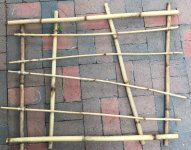 bamboo thing 3.jpeg