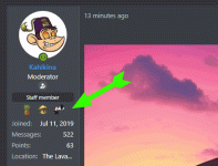 badges.gif